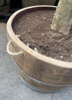 Extra HOHES Weinfass halbiert - Höhe 50-54 cm:  ohne Bohrung , natur, ohne Rollen, ohne Schlaufen