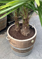 Extra HOHES Weinfass halbiert - Höhe 50-54 cm:  mit Bohrung, natur, ohne Rollen, ohne Schlaufen