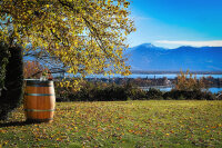 Personalisiertes GESCHLIFFENES 225L Weinfass: Schriftzug am Bauch, natur, verzinkte Ringe