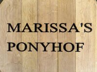 Personalisiertes GESCHLIFFENES 225L Weinfass: Schriftzug am Bauch, natur, verzinkte Ringe