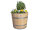Kübel natur, Pflanzkübel aus Kastanienholz: mit Ablaufbohrung,50 cm,ohne Rollen,ohne Schlaufen