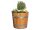 Kastanienholz geölt - Blumenkübel in Durchmesser 30 bis 60 cm