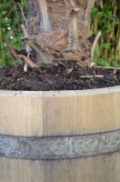Kräuterbeet, Hochbeet aus einem echten Weinfass - Holz Eiche natur,ohne Rollen,190 Liter,mit Bohrungen